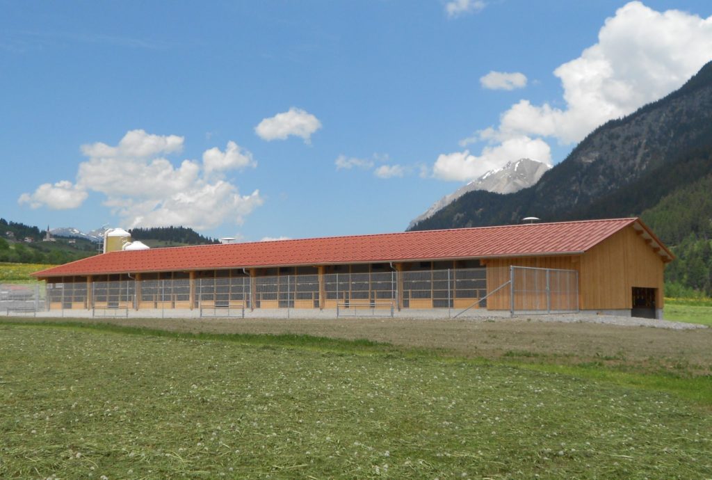 Hühnerauslauf
