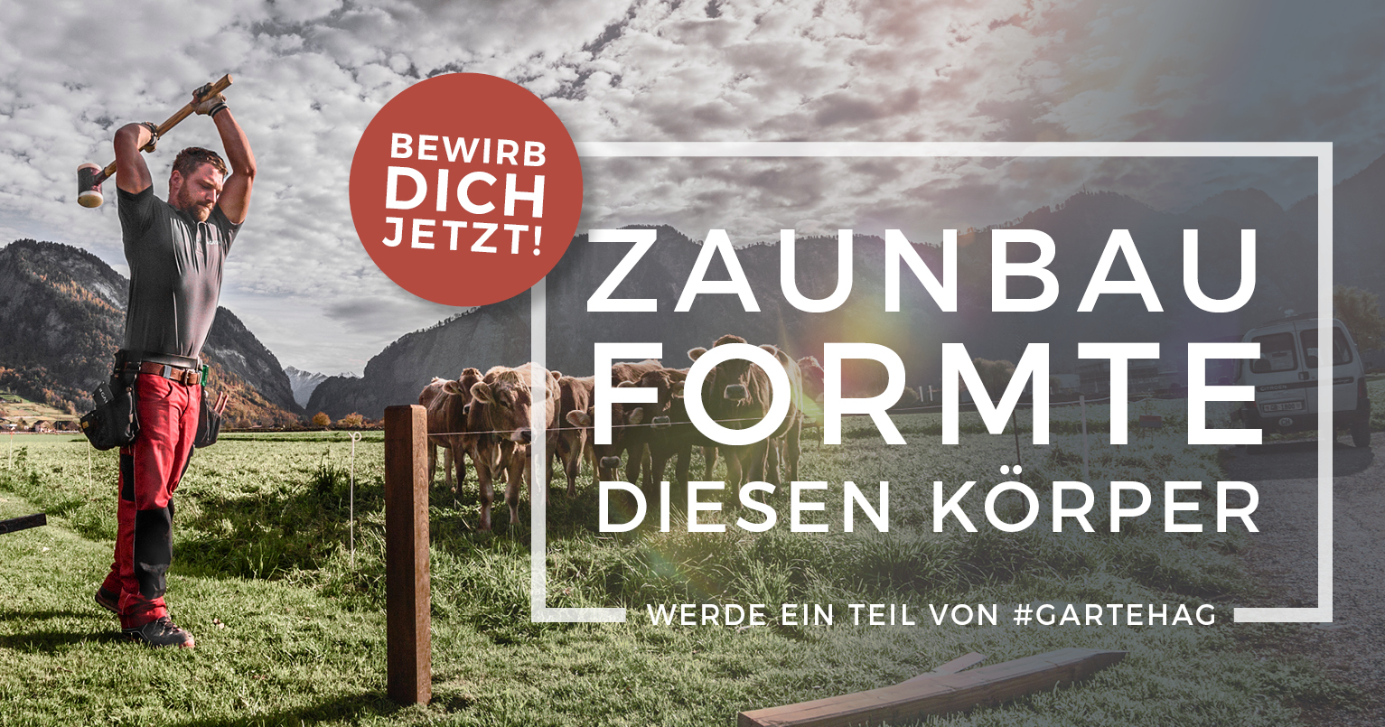 Wir Suchen Dich